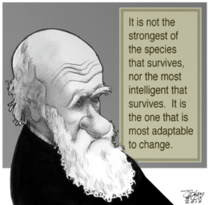 Darwin quote