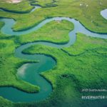 winding river in green field sustainability report cover