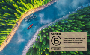 Red canoe in a blue river surrounded by tall pines with B Corp logo