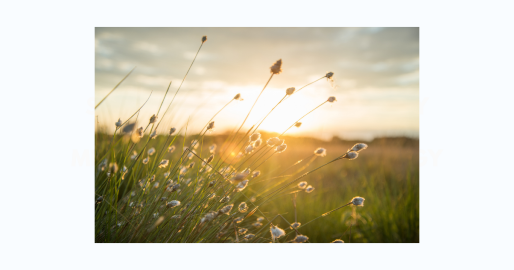Riverwater Partners | Responsible Investing | Milwaukee | Wealth Management