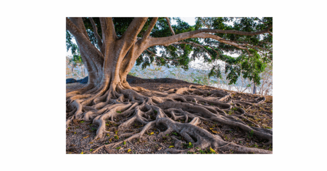 Riverwater Partners | Responsible Investing | Milwaukee | Wealth Management