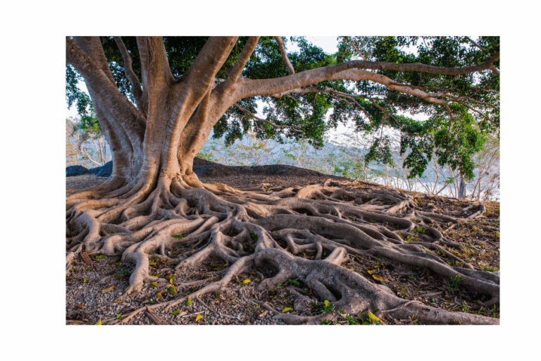 Riverwater Partners | Responsible Investing | Milwaukee | Wealth Management