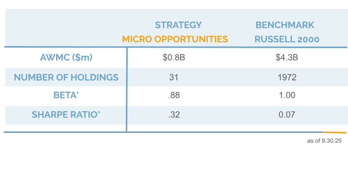 Q3 2025 Riverwater Micro Opportunities Strategy Info Chart