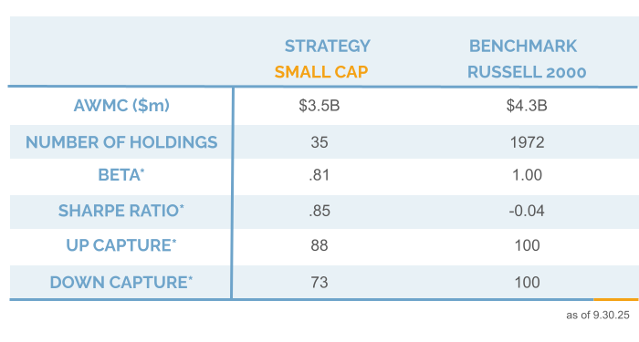 Q3 2025 Riverwater Small Cap Strategy Info Chart