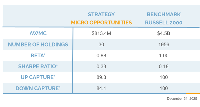 Q4 20225 Micro Opportunities Information Chart