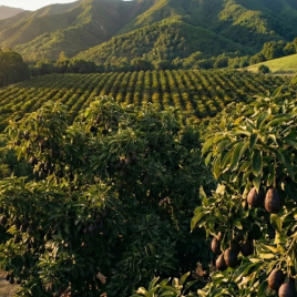 Riverwater Partners | Responsible Investing | Milwaukee | Small Cap Equity Strategies