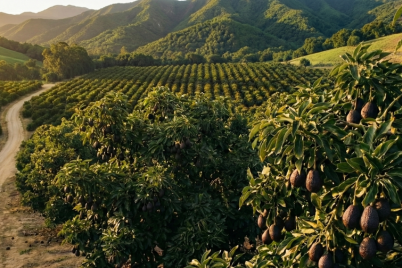 Riverwater Partners | Responsible Investing | Milwaukee | Small Cap Equity Strategies