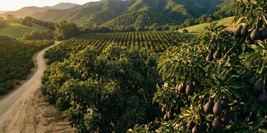 Q4 2025 Small Cap Riverwater Partners | Responsible Investing | Milwaukee | Small Cap Equity Strategies