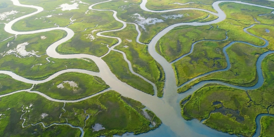 Riverwater Partners | Responsible Investing | Milwaukee | Wealth Management