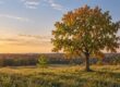 Riverwater Partners | Responsible Investing | Milwaukee | Small Cap Equity Strategies